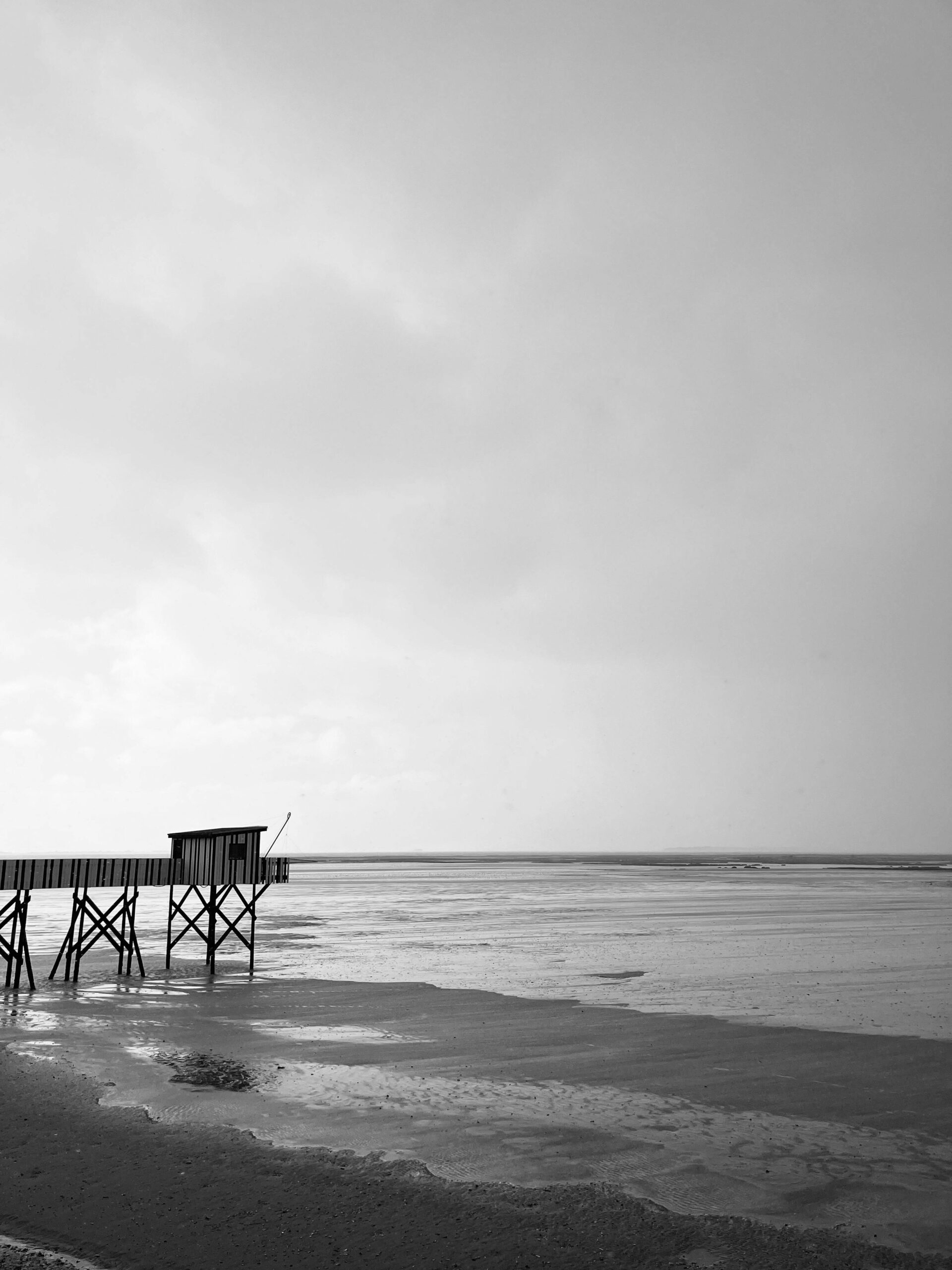 Pexels chloe laurens 2156921958