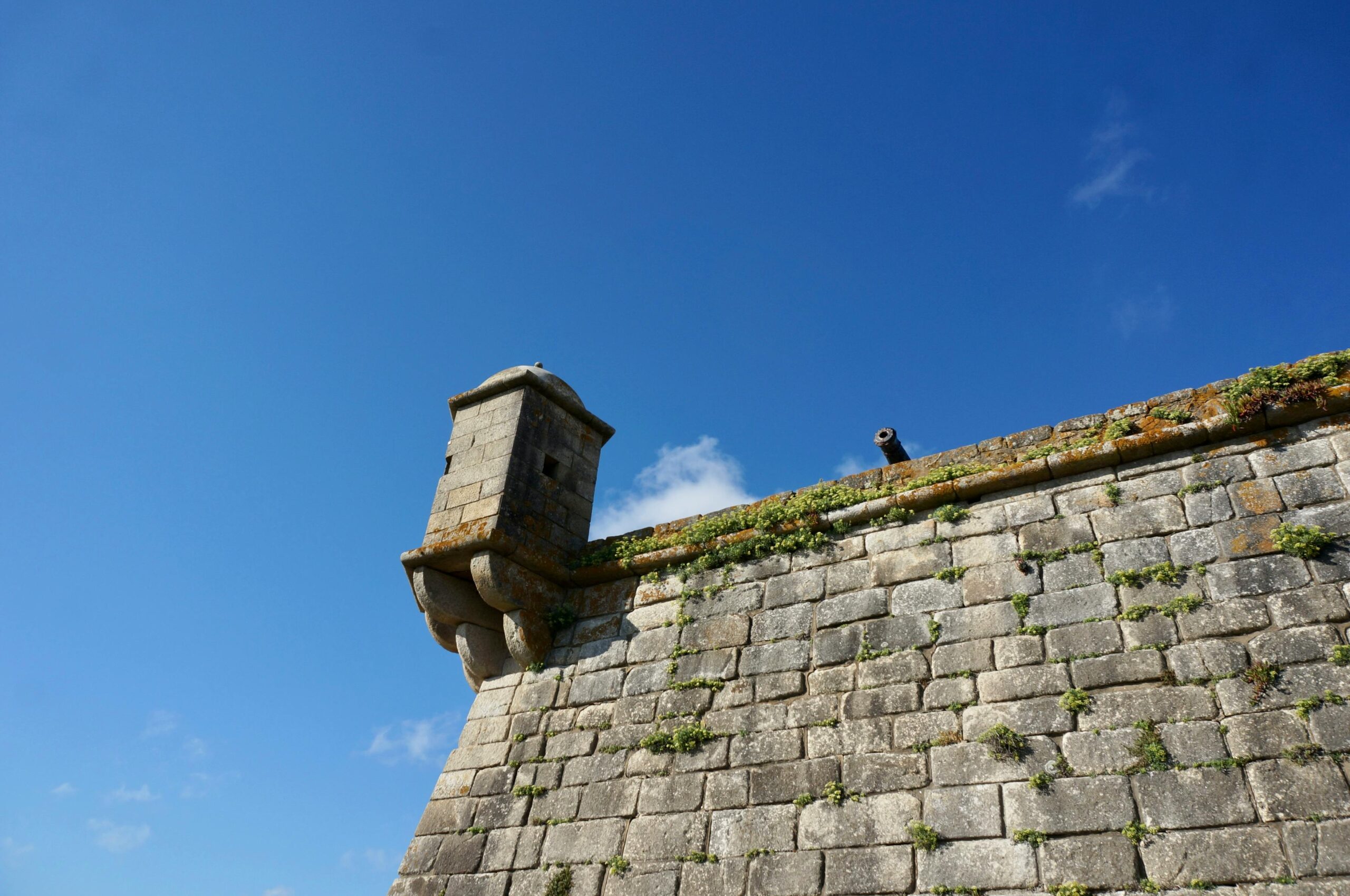 Pexels egor kunovsky 1199972